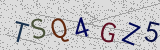 Visual CAPTCHA challenge