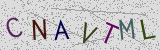 Visual CAPTCHA challenge