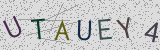 Défi visuel du captcha