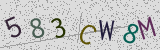Défi visuel du captcha