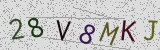 Défi visuel du captcha