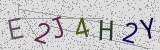 Défi visuel du captcha