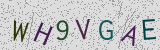 Défi visuel du captcha