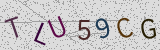 Défi visuel du captcha