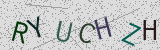Défi visuel du captcha