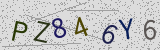 Défi visuel du captcha