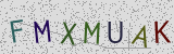 Défi visuel du captcha