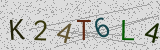 Défi visuel du captcha