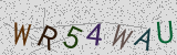 Défi visuel du captcha