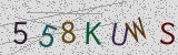 Défi visuel du captcha