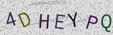 Défi visuel du captcha