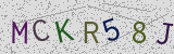 Défi visuel du captcha