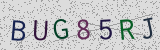 Défi visuel du captcha