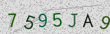 Défi visuel du captcha