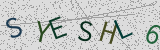 Défi visuel du captcha