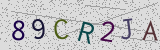 Défi visuel du captcha