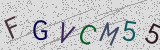 Défi visuel du captcha